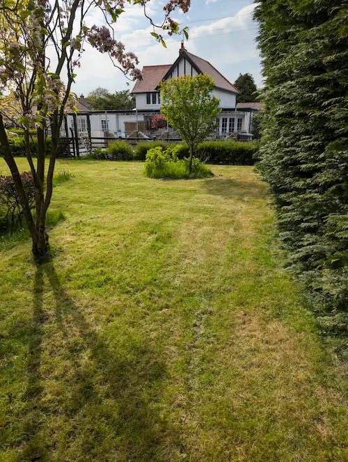 Tidy front garden